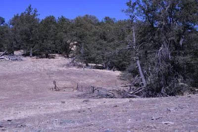 DSC_2225 (Large).JPG